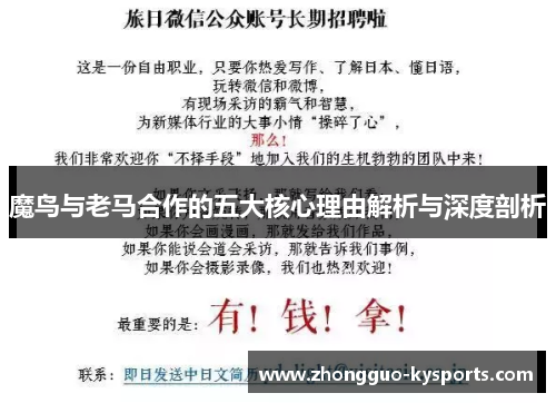 魔鸟与老马合作的五大核心理由解析与深度剖析 魔鸟与老马合作的五大核心理由解析与深度剖析